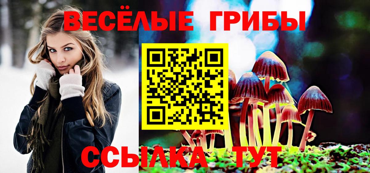 Реж  Псилоцибиновые грибы Psilocybe  Псилоцибиновые грибы мицелий  Вход с VPN 